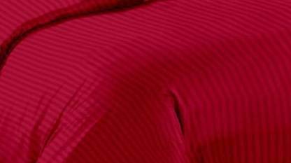 Clarique Premium Queen Size Bedsheet (90" x 100") 300 TC