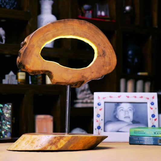 Wood Log Aesthetic Lamp