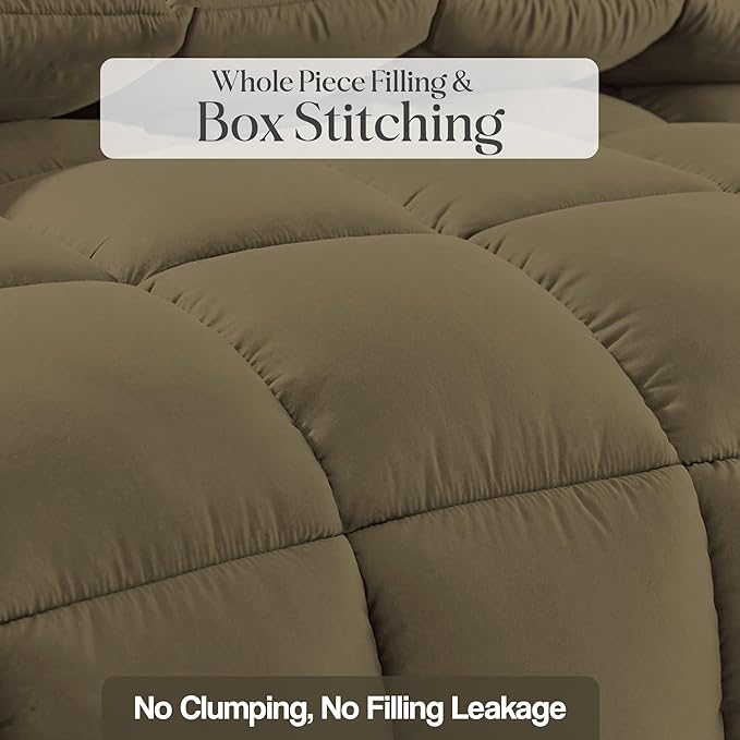 Trivana Premium All Weather Quilt/Comforter